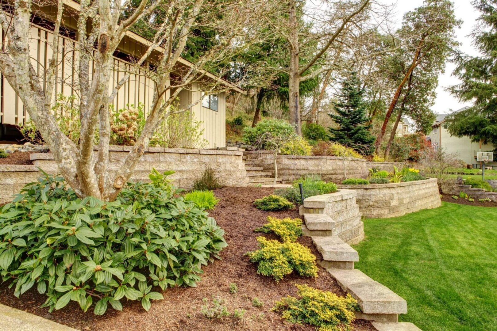 A garden with trees and shrubs in the background.