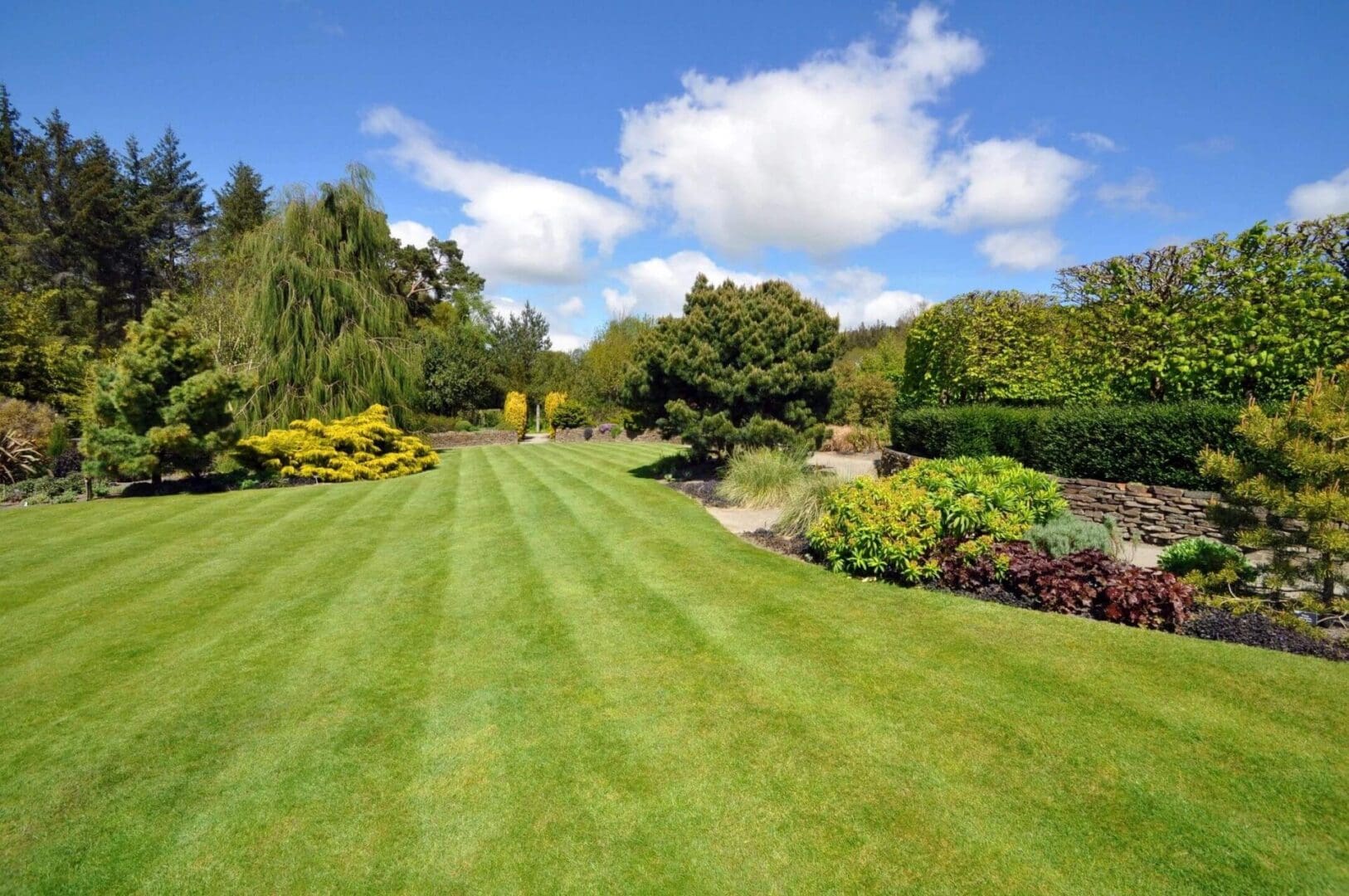 A large lawn with many different plants and trees.