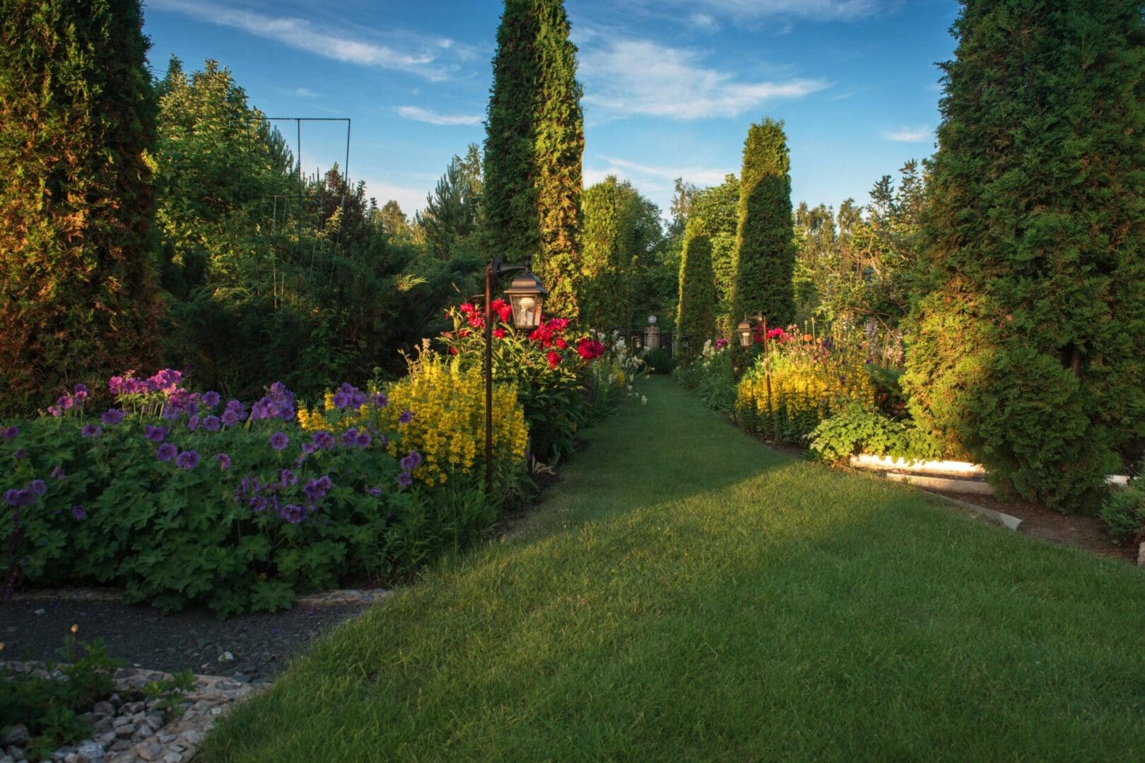 A garden with many different plants and trees