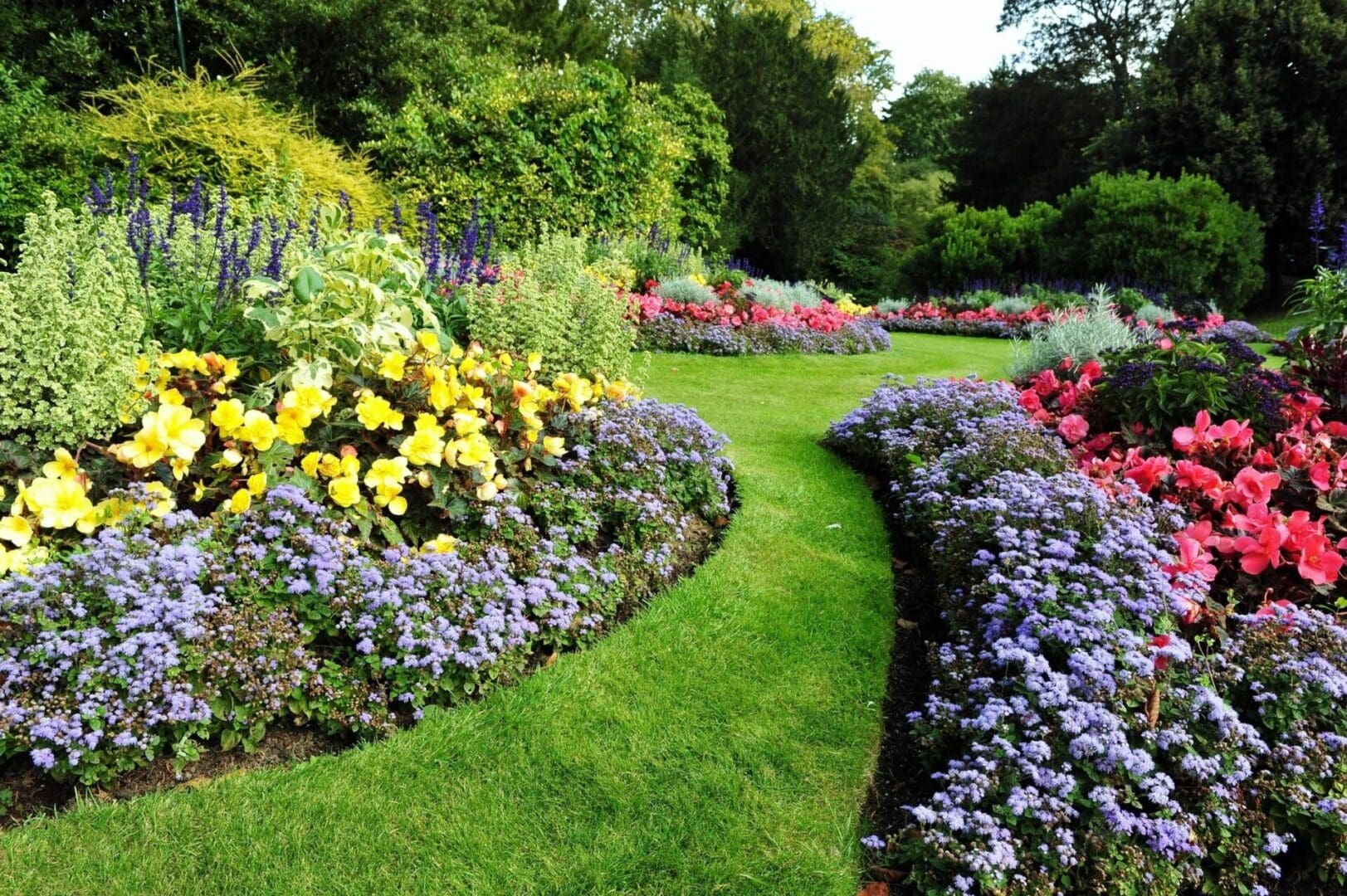 A garden with many different flowers and grass.